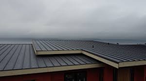 Best Roof Leak Repair  in Gold Hill, OR